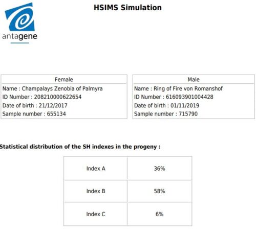 HS A&Z