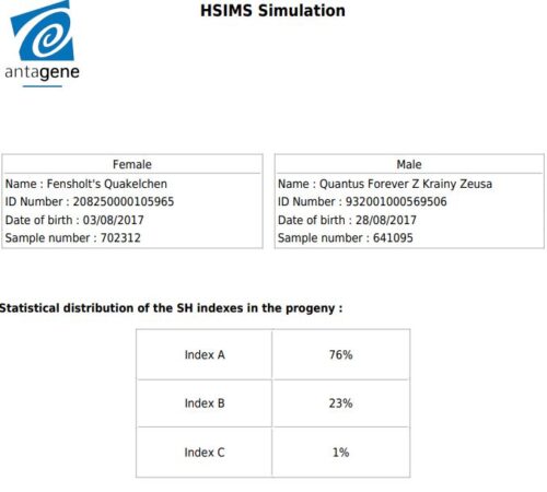 HS Q&B